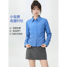 实拍新品爆款通勤风克莱因蓝衬衫女长袖收腰时尚衬衣高级感上衣