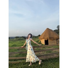 批发多巴胺法式蓝色蝴蝶花朵印花白色<b class='q'>连衣裙</b>夏日度假<b class='q'>长裙女</b>2026夏季