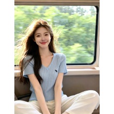 批发学院风刺绣V领麻花短袖T恤女蓝色<b class='q'>针织</b>衫女2026夏季百搭设计感上衣