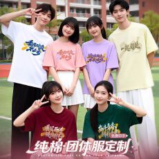 纯棉t恤定制印logo夏季短袖企业工作服广告文化衫团建聚会班服DIY