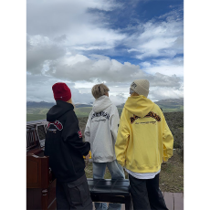 批发（80件起做，包工包料，七天出货）毛巾绣 后包领 卫衣女