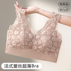 批发夏季新款性感蕾丝美背内衣女<b class='q'>大</b>胸显小收副乳无痕兔耳杯<b class='q'>文胸</b>罩薄款