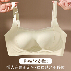 批发夏季新款<b class='q'>隐形</b>无痕内衣女小胸聚拢提拉上托无钢圈防下垂美背文胸罩