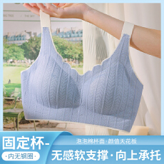 批发<b class='q'>夏</b>季新款无痕美背内衣女大胸显小无钢圈防下垂运动文胸罩轻薄背心