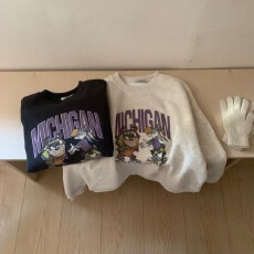 批发25年冬新款 <b class='q'>韩国</b>短款百搭女士加绒<b class='q'>卫衣</b>小个子宽松长袖T恤女