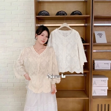 批发新款法式气质V领刺绣纯棉防晒女夏轻薄透气宽松百搭文艺衬衣