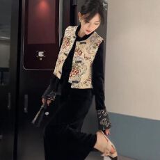 批发套装女2025春秋新款高级感新中式国风盘扣马甲<b class='q'>外套</b>+连衣裙两件套