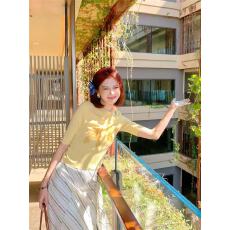 批发今年流行百搭圆领T恤女2026<b class='q'>春</b>秋新款独特漂亮别致短袖上衣