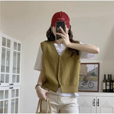 批发实拍明星同款针织背心马甲女春秋新款坎肩叠穿洋气时尚无袖外套