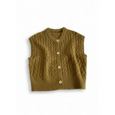 速卖通韩版复古麻花针织开衫马甲女秋冬叠穿无袖坎肩毛衣背心上衣