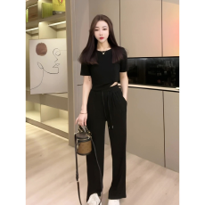 批发慵懒风高腰阔腿裤套装女夏2025新款休闲短袖T恤<b class='q'>打底衫</b>两件套黑色