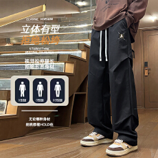 批发2025秋<b class='q'>冬</b>新款直筒男休闲裤宽松加厚简约百搭男裤宽脚松紧腰裤