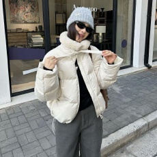 批发<b class='q'>韩国</b>东大门2026女装新款羊羔毛翻领宽松百搭保暖棉服冬外套
