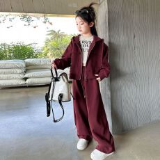 批发女童运动套装2025春秋新款<b class='q'>韩版</b>洋气休闲拉链纯色卫衣阔腿裤两件套