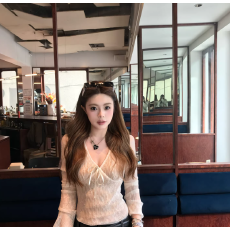 批发白色<b class='q'>网纱</b>长袖打底衫设计感修身v领上衣