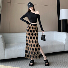 批发实拍复古高级感时髦蕾丝绣丝绒半身裙女新款高腰显瘦包臀鱼尾长裙