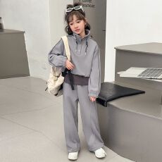 批发<b class='q'>女</b><b class='q'>童</b>春秋套装2026新款儿童立领<b class='q'>卫衣</b>中大童假两件运动阔腿裤两件套