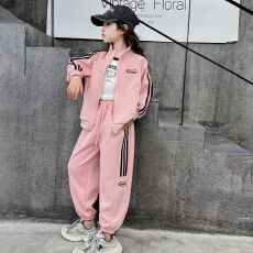 批发女童<b class='q'>春秋</b><b class='q'>装</b>运动套<b class='q'>装</b>2026女孩中大童卫衣春秋款时髦洋气休闲两件套