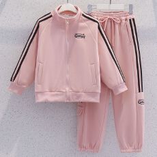 批发女童<b class='q'>套</b><b class='q'>装</b>秋<b class='q'>装</b>2026新款洋气儿童<b class='q'>装</b>卫衣外套春秋季女大童休闲两件套