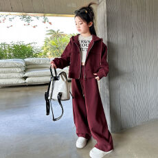 批发<b class='q'>女</b>童<b class='q'>运动</b><b class='q'>套</b>装2025春秋新款韩版洋气休闲拉链纯色卫衣阔腿裤<b class='q'>两件</b>套