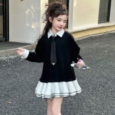 批发女童蓬蓬裙子春装2025新款洋气<b class='q'>儿童</b>装春秋季大童长袖学院风连衣裙