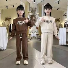 批发女童运动套装2025<b class='q'>春</b>秋新款洋气女大童时尚简约卫衣儿童长裤两件套