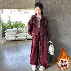批发女童2025新款儿童秋冬韩系时尚加绒<b class='q'>休闲</b>卫裤搭帽衫套装潮酷两件套
