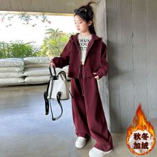 批发女<b class='q'>童</b><b class='q'>加绒加厚</b>运动套装秋冬季2025新款韩版儿<b class='q'>童</b>连帽外套卫裤两件套