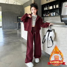 批发女<b class='q'>童</b><b class='q'>加绒</b><b class='q'>套装</b>2025秋冬新款中大<b class='q'>童</b>洋气女孩连帽外套卫裤两件套潮款
