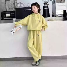 批发<b class='q'>女童</b>连帽<b class='q'>套</b>装2026春秋季新款洋气儿童卫衣阔腿裤休闲运动风两件套