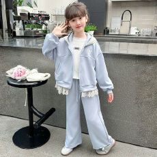 批发女童<b class='q'>套</b><b class='q'>装</b>春秋2026新款韩版中大童花边连帽外套儿童运动长<b class='q'>裤</b>两件套