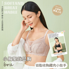 批发小胸聚拢蕾丝内衣女无钢圈舒适文胸
