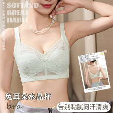 批发清凉神器薄透蜂巢杯蕾丝无痕无钢圈双层侧托<b class='q'>聚拢</b>小胸收副乳防下垂