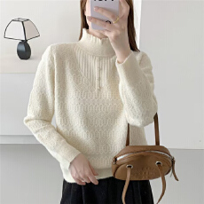 批发半高领长毛<b class='q'>欧根纱</b>套头针织衫[1881]