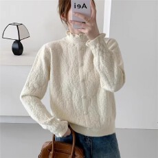 批发半高领长毛<b class='q'>欧根纱</b>套头针织衫[1881