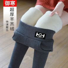 批发北极绒<b class='q'>打底裤</b>女秋冬加绒加厚外穿黑色特厚大码棉裤灰色紧身保暖裤