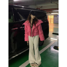 批发HYF羽绒棉服女2023冬季新款设计感羊羔毛翻领短款面包服外套潮