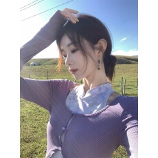批发新中式国风EIA一尧【软香玉】<b class='q'>假两件</b><b class='q'>连衣裙</b>修身显瘦设计感旗袍