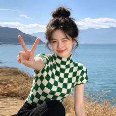 批发三宅风褶皱上衣女装短袖衣服夏季高级感t恤<b class='q'>女款</b>新款大码女9651