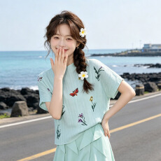批发三宅风褶皱上衣<b class='q'>女装</b>短袖新款大码温柔风衣服夏季高级感t恤女9669