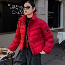 批发90绒高品质剪刀立领款2026新款白鸭绒排骨款宽松面包服羽绒服女