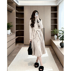 批发褶家三宅褶皱纯色时尚连帽女2025冬显瘦单排扣<b class='q'>保暖</b>棉服外套配腰带