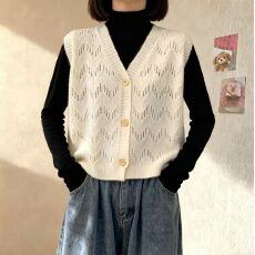 批发2025年秋季新款韩版百搭V领开衫针织背心马甲女外穿毛衣坎肩