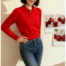 V领POLO针织打底衫女秋季高级感修身显瘦内搭上衣设计感毛衣