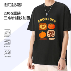 批发星之光01OA1透气印花<b class='q'>男</b>女同款纯棉230g重磅21支精梳赛络纺圆领<b class='q'>T</b><b class='q'>恤</b>