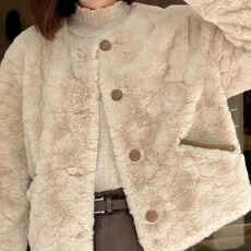 批发加厚加棉女2025秋冬新款小个子时尚百搭外套貂绒颗粒绒仿水貂皮草