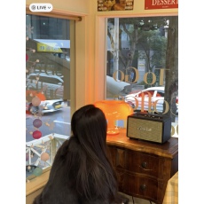 批发仿兔绒2025<b class='q'>秋</b>冬新款加厚加棉短款大衣复古小众立领毛绒绒外套女