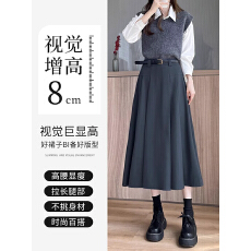 批发TR质量+隐形拉链+腰带<b class='q'>百褶裙</b><b class='q'>半身裙</b>小众设计感中长款A字裙长裙冬