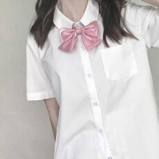 批发酷丝绵+有口袋款新款JK制服<b class='q'>衬衣</b>冬学院风白色<b class='q'>短袖</b>学生<b class='q'>衬衫</b>上衣女