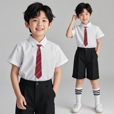 批发短袖衬衫+酷丝棉新款小中大儿童白色衬衣小学生<b class='q'>男</b>女孩衬衫校服夏